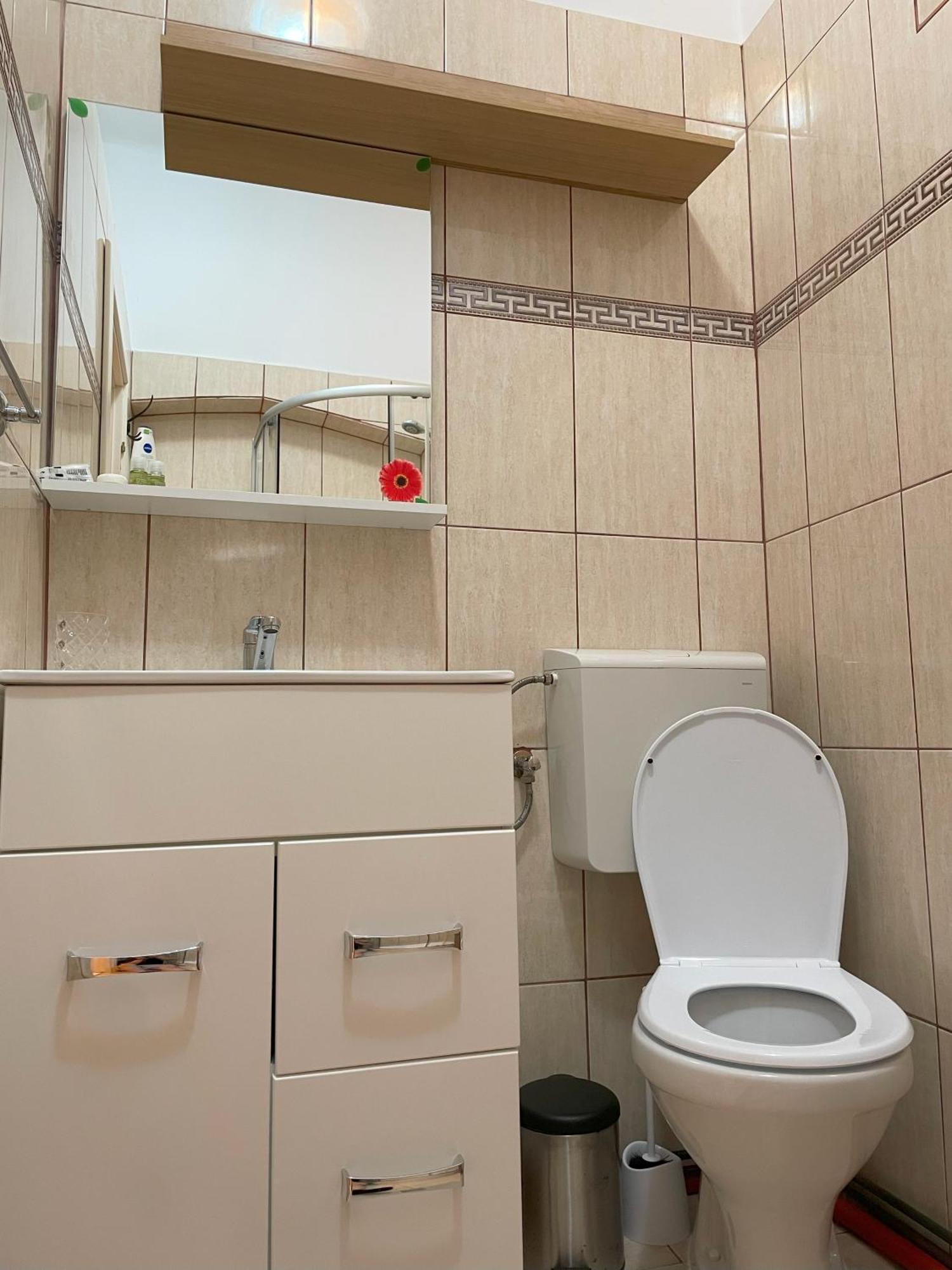 Studiopro44 Sibiu Exteriör bild